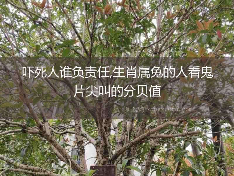 嚇死人誰負責任,生肖屬兔的人看鬼片尖叫的分貝值