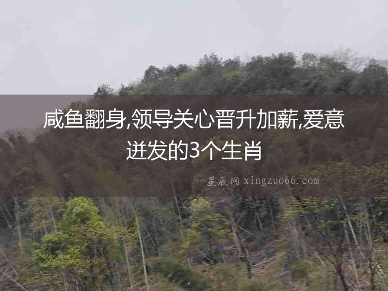 咸魚翻身,領(lǐng)導(dǎo)關(guān)心晉升加薪,愛意迸發(fā)的3個生肖