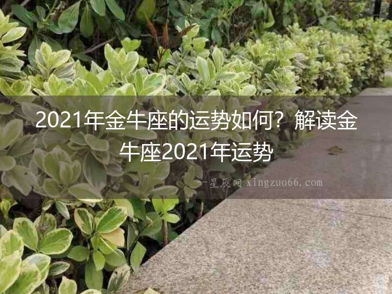 2021年金牛座的運勢如何？解讀金牛座2021年運勢