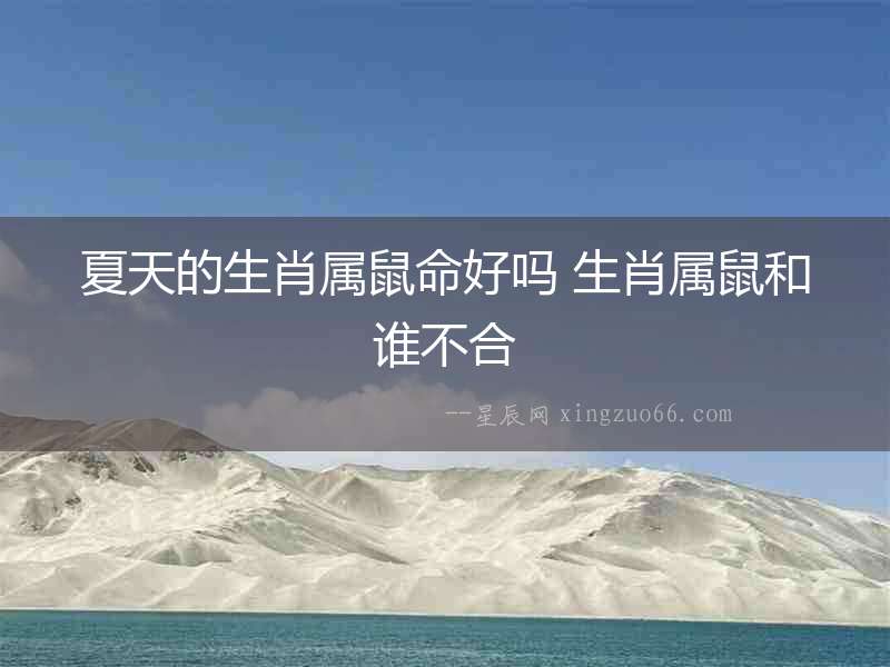 夏天的生肖屬鼠命好嗎 生肖屬鼠和誰不合