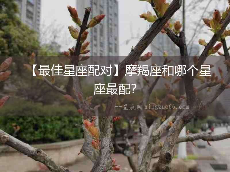 【最佳星座配對】摩羯座和哪個星座最配？