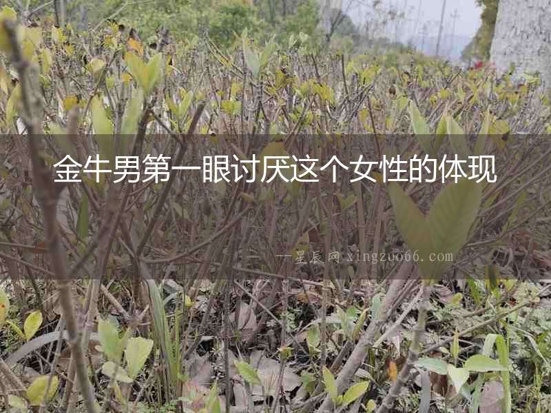 金牛男第一眼討厭這個女性的體現