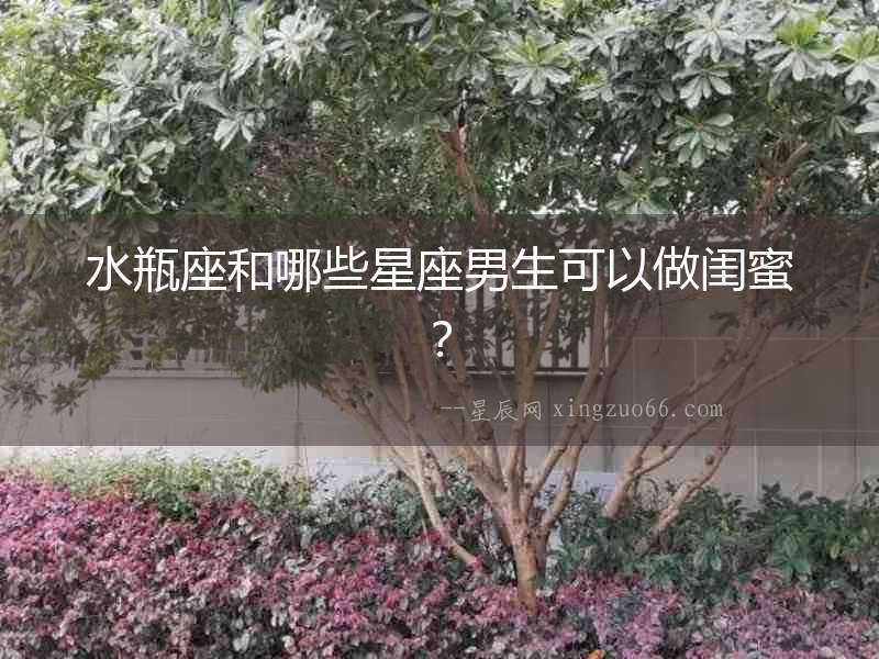 水瓶座和哪些星座男生可以做閨蜜？