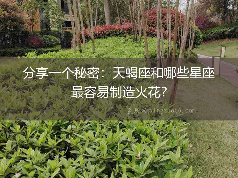 分享一個秘密：天蝎座和哪些星座最容易制造火花？
