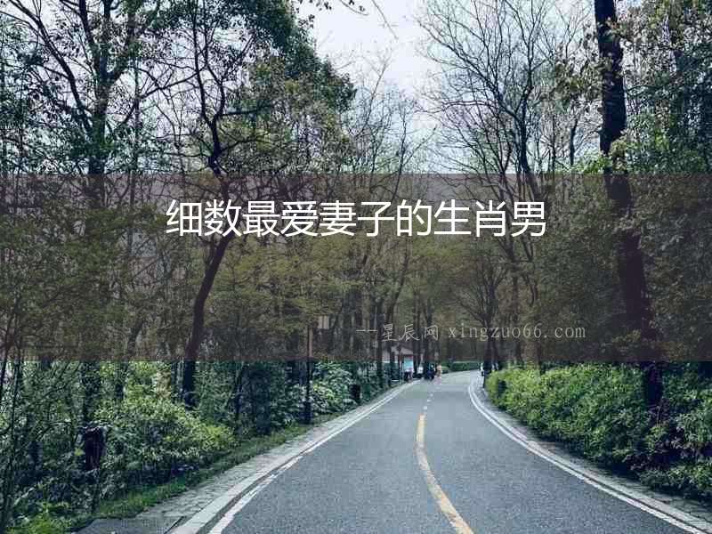 細數最愛妻子的生肖男