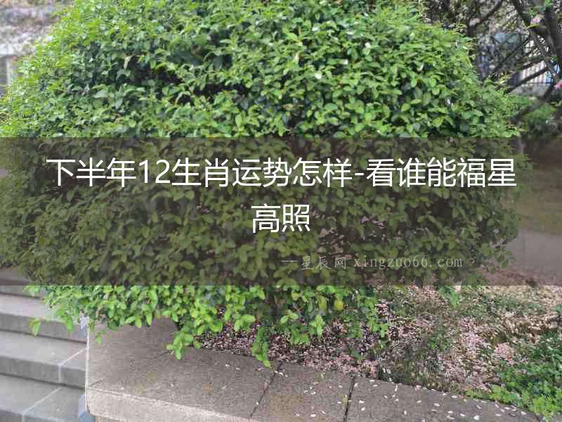下半年12生肖運勢怎樣-看誰能福星高照