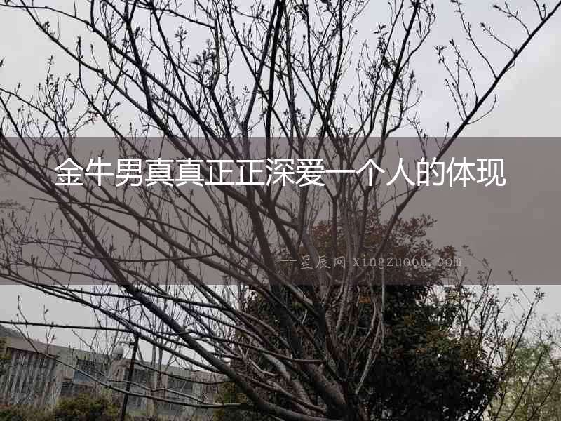 金牛男真真正正深愛一個(gè)人的體現(xiàn)