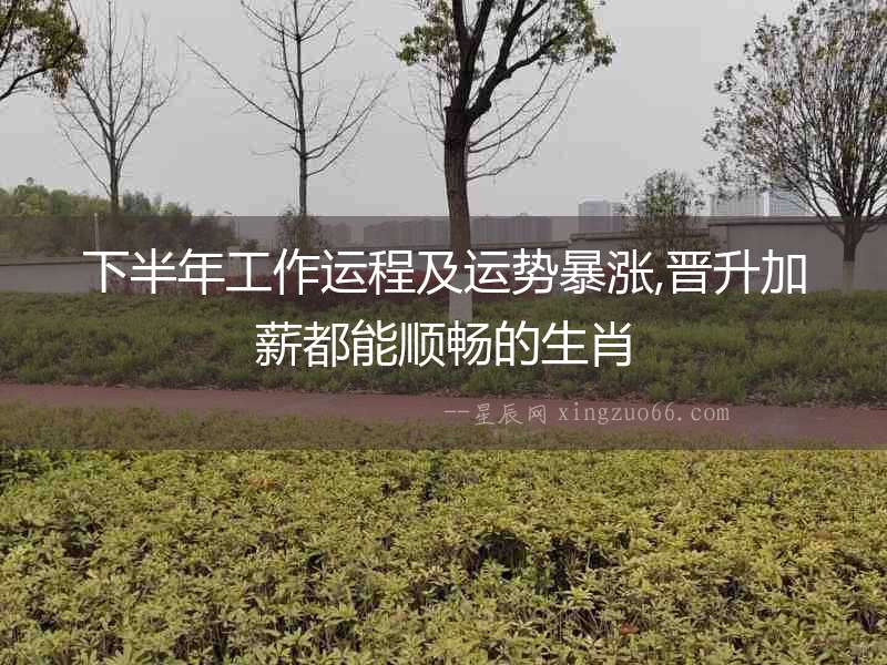 下半年工作運程及運勢暴漲,晉升加薪都能順暢的生肖