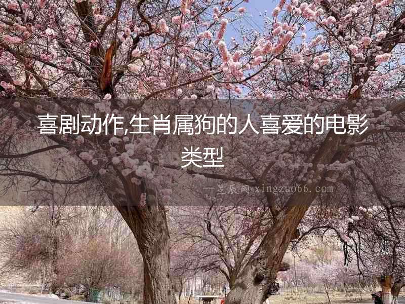 喜劇動作,生肖屬狗的人喜愛的電影類型