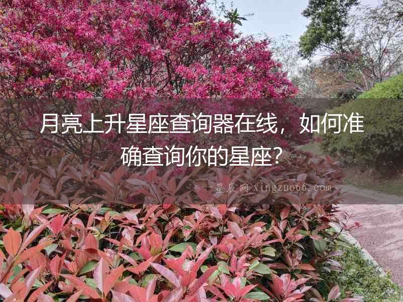 月亮上升星座查詢器在線，如何準(zhǔn)確查詢你的星座？