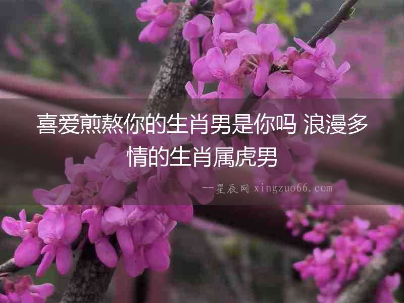 喜愛(ài)煎熬你的生肖男是你嗎 浪漫多情的生肖屬虎男