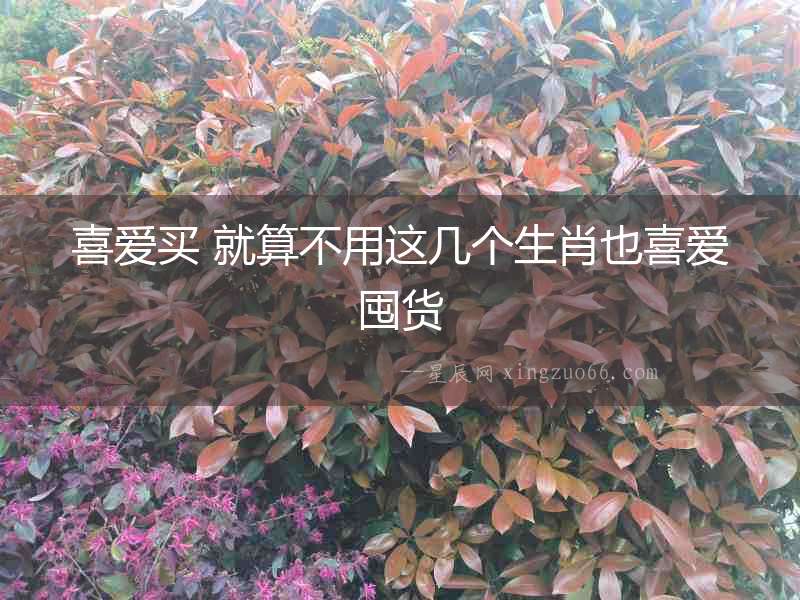 喜愛買 就算不用這幾個(gè)生肖也喜愛囤貨