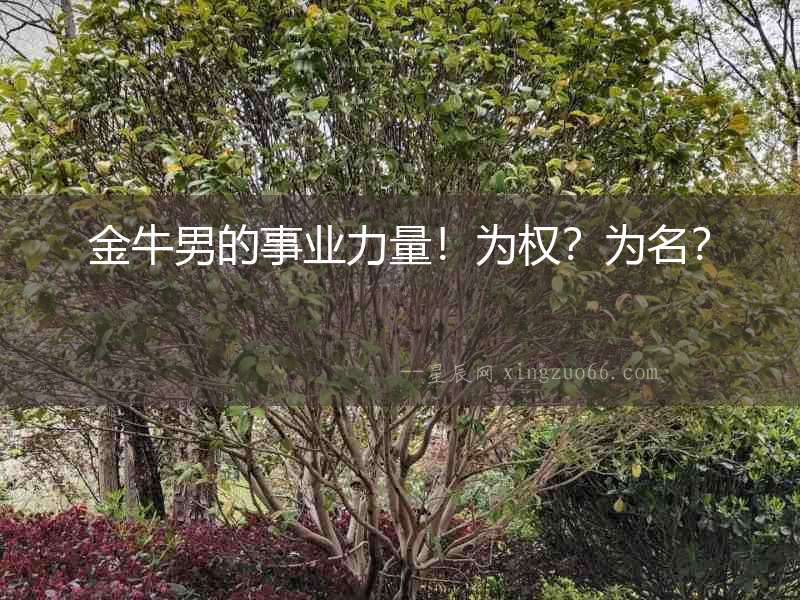 金牛男的事業力量！為權？為名？