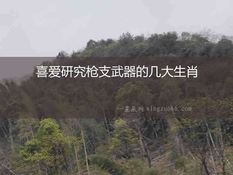 喜愛研究槍支武器的幾大生肖