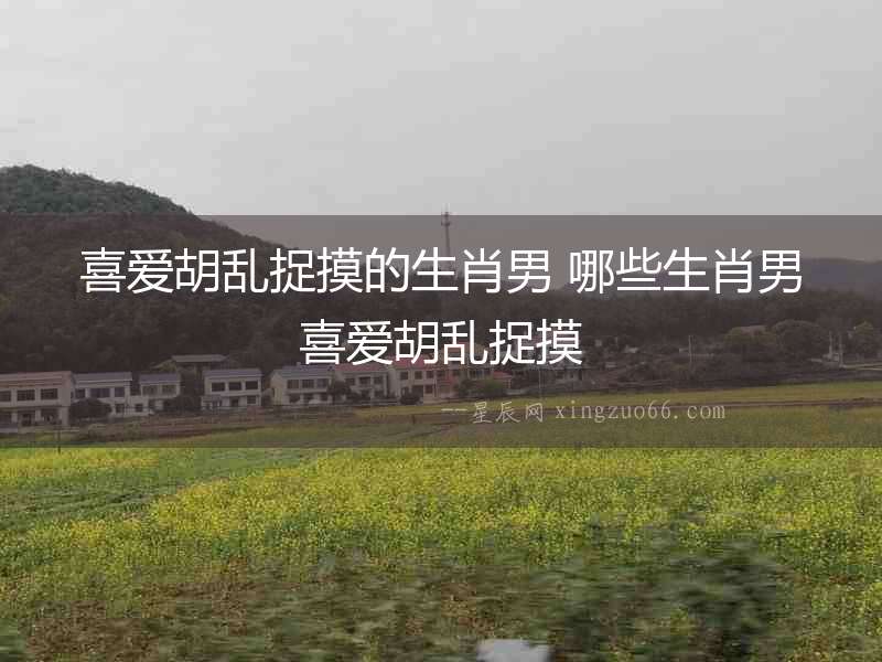 喜愛胡亂捉摸的生肖男 哪些生肖男喜愛胡亂捉摸