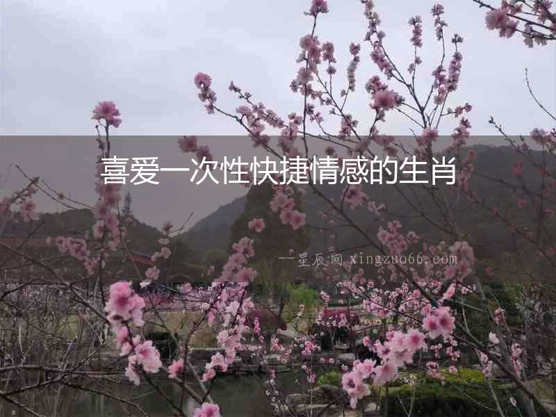 喜愛一次性快捷情感的生肖