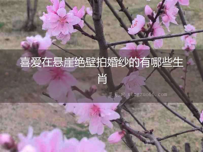 喜愛(ài)在懸崖絕壁拍婚紗的有哪些生肖