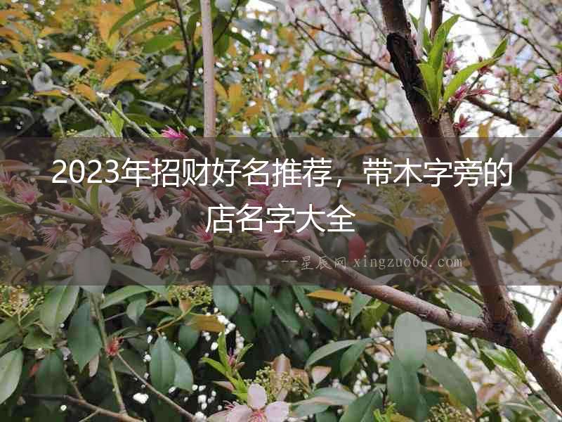 2023年招財好名推薦，帶木字旁的店名字大全