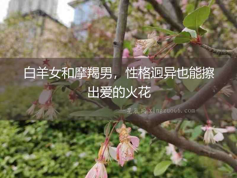白羊女和摩羯男，性格迥異也能擦出愛的火花