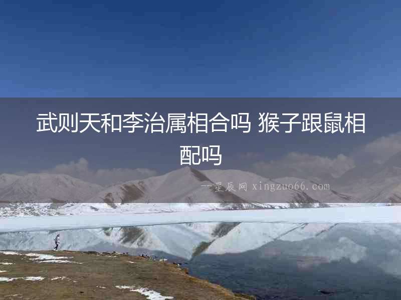 武則天和李治屬相合嗎 猴子跟鼠相配嗎