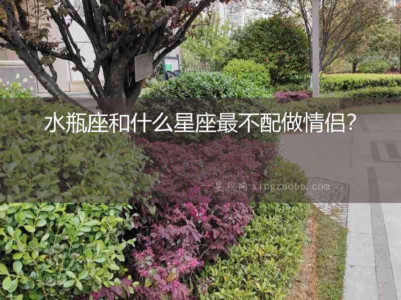 水瓶座和什么星座最不配做情侶？