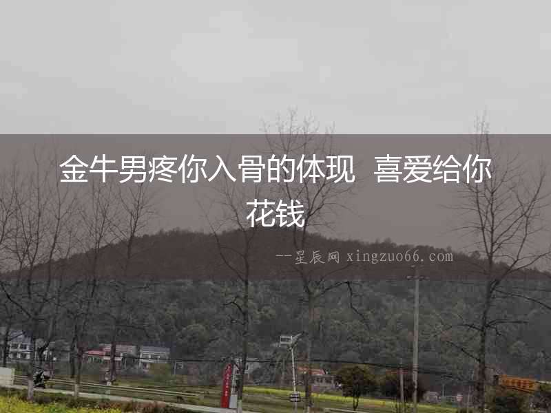 金牛男疼你入骨的體現  喜愛給你花錢