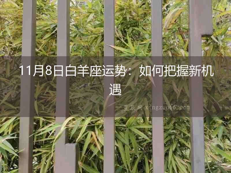 11月8日白羊座運(yùn)勢：如何把握新機(jī)遇