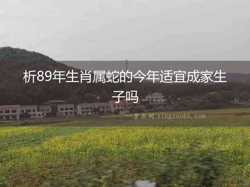 析89年生肖屬蛇的今年適宜成家生子嗎