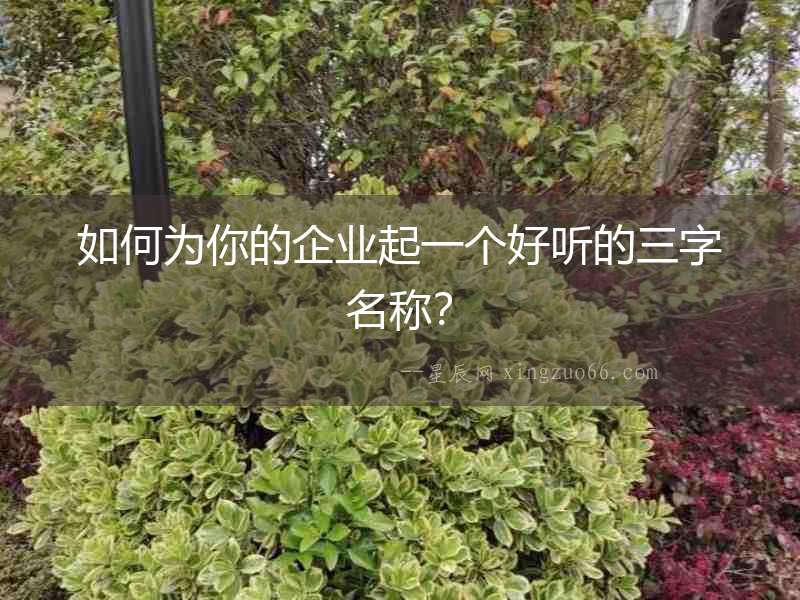 如何為你的企業(yè)起一個好聽的三字名稱？