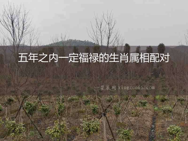 五年之內(nèi)一定福祿的生肖屬相配對