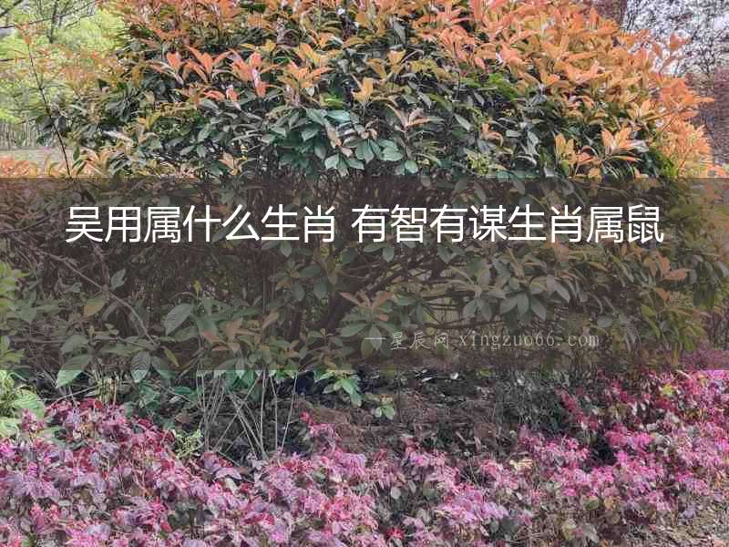 吳用屬什么生肖 有智有謀生肖屬鼠