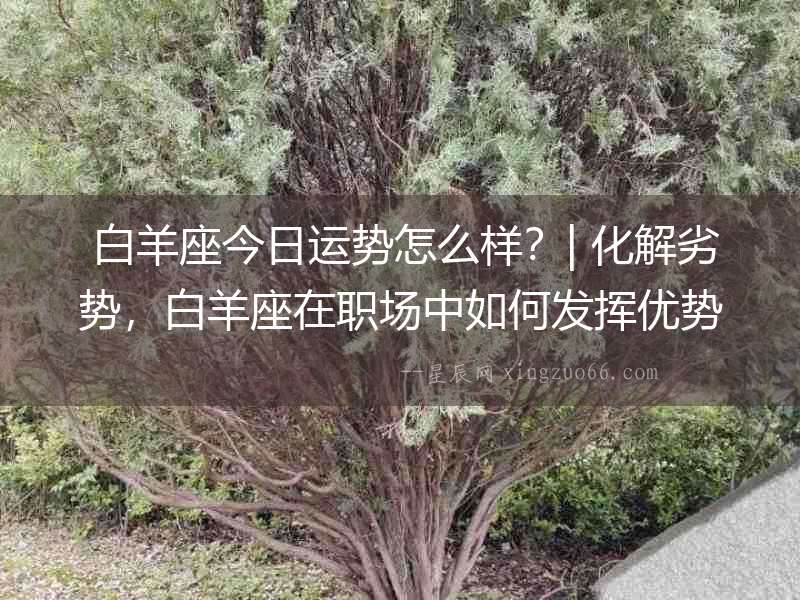  白羊座今日運勢怎么樣？| 化解劣勢，白羊座在職場中如何發(fā)揮優(yōu)勢？