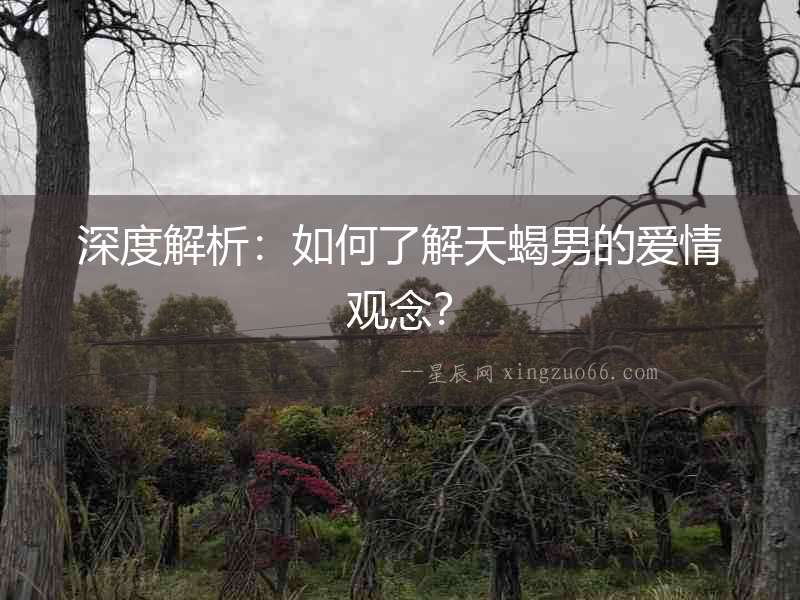 深度解析：如何了解天蝎男的愛情觀念？