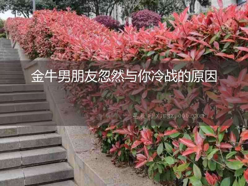 金牛男朋友忽然與你冷戰的原因