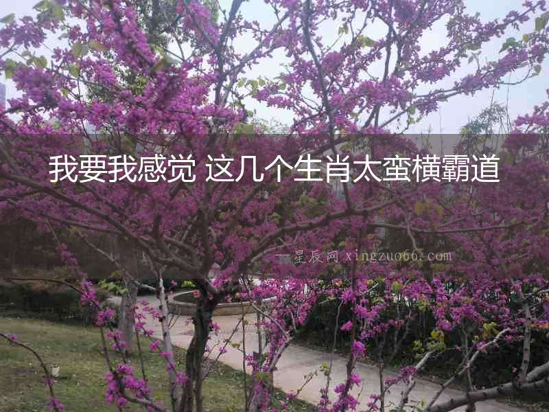 我要我感覺 這幾個生肖太蠻橫霸道