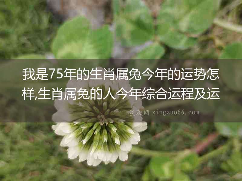 我是75年的生肖屬兔今年的運勢怎樣,生肖屬兔的人今年綜合運程及運勢