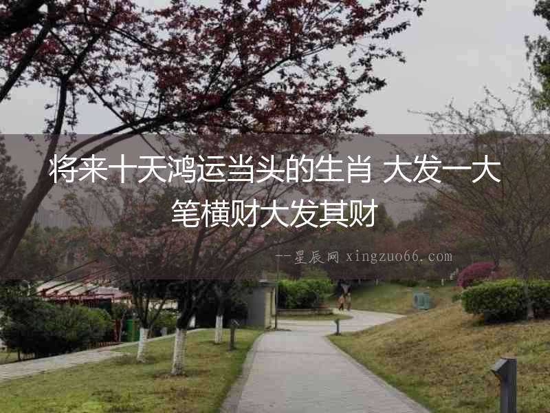 將來十天鴻運當頭的生肖 大發一大筆橫財大發其財