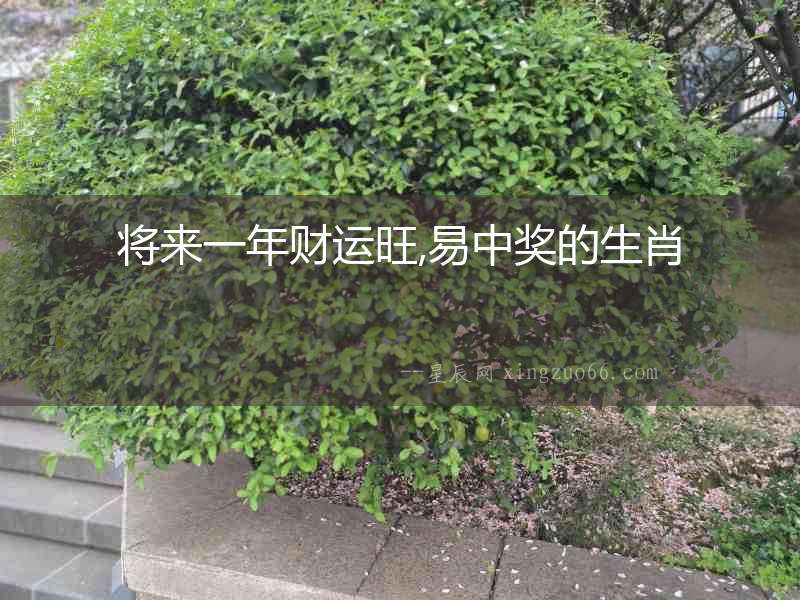 將來一年財運旺,易中獎的生肖