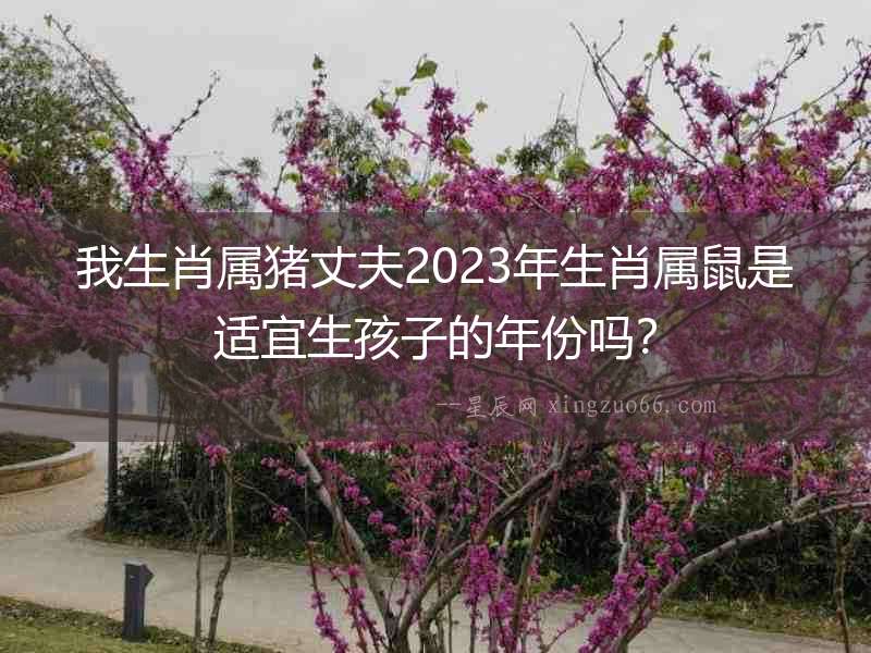 我生肖屬豬丈夫2023年生肖屬鼠是適宜生孩子的年份嗎？