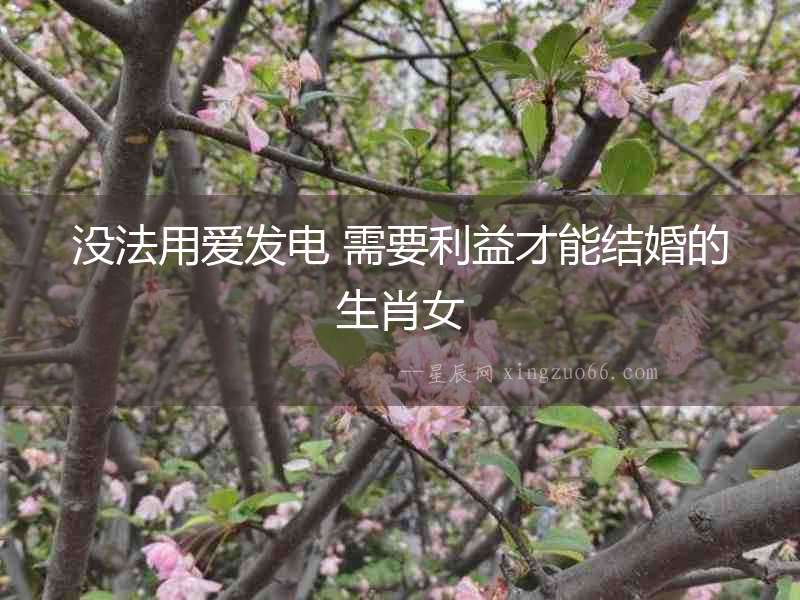 沒法用愛發電 需要利益才能結婚的生肖女