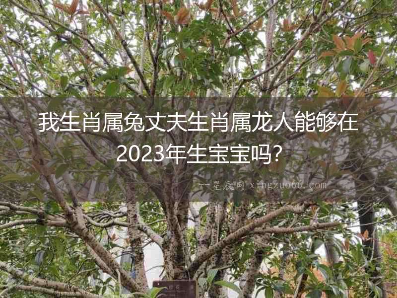 我生肖屬兔丈夫生肖屬龍人能夠在2023年生寶寶嗎？
