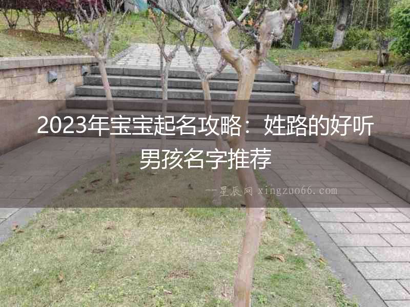 2023年寶寶起名攻略：姓路的好聽男孩名字推薦