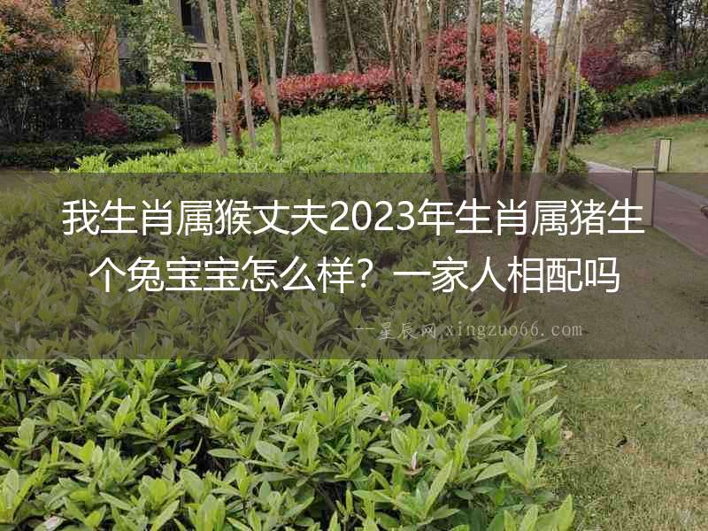 我生肖屬猴丈夫2023年生肖屬豬生個兔寶寶怎么樣？一家人相配嗎
