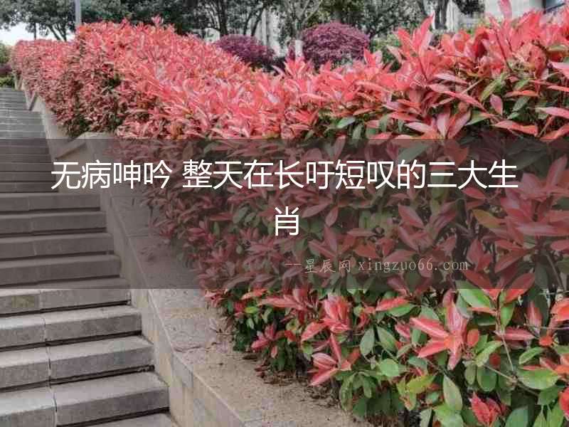 無病呻吟 整天在長吁短嘆的三大生肖