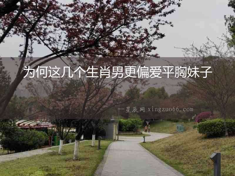 為何這幾個生肖男更偏愛平胸妹子