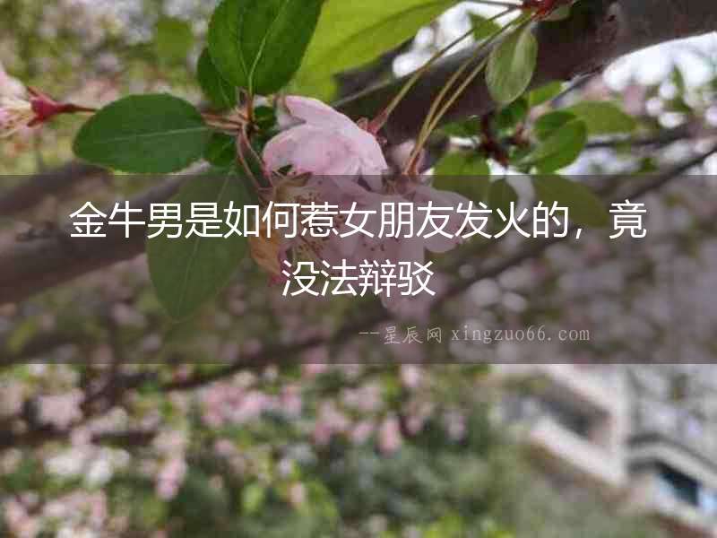 金牛男是如何惹女朋友發火的，竟沒法辯駁