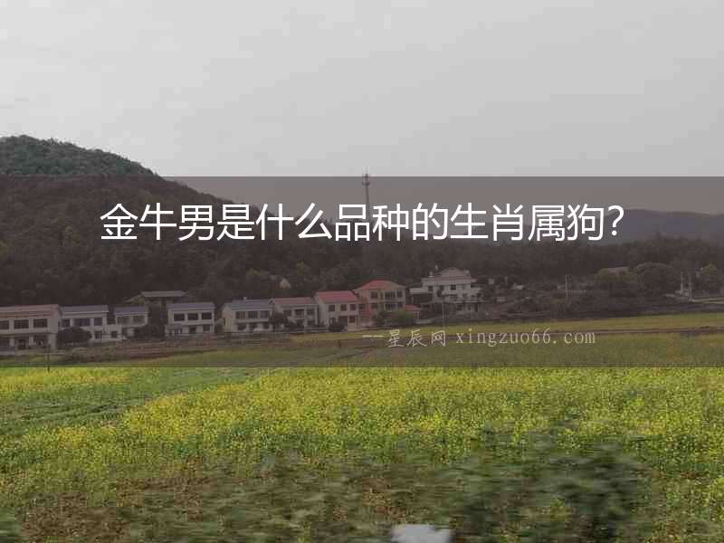 金牛男是什么品種的生肖屬狗？
