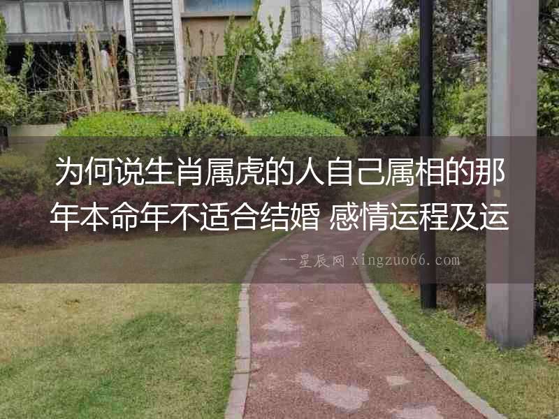 為何說(shuō)生肖屬虎的人自己屬相的那年本命年不適合結(jié)婚 感情運(yùn)程及運(yùn)勢(shì)不順