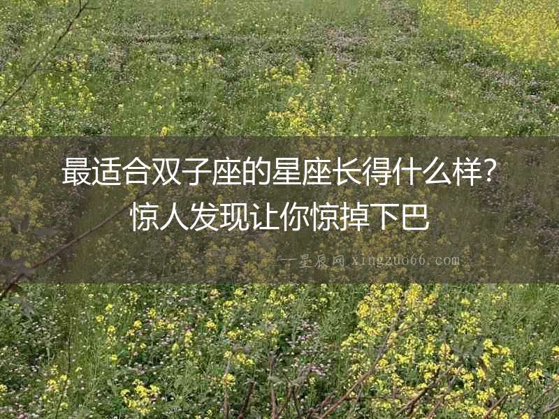 最適合雙子座的星座長得什么樣？驚人發現讓你驚掉下巴