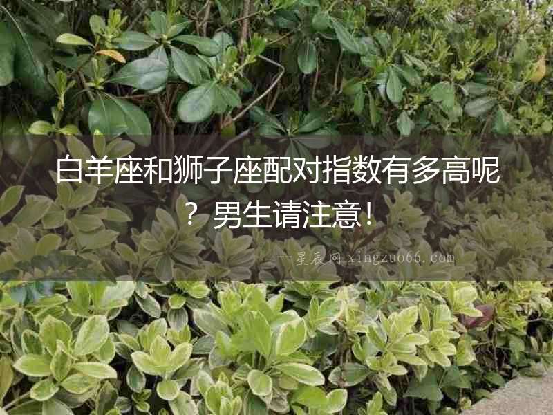 白羊座和獅子座配對指數(shù)有多高呢？男生請注意！